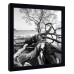 CLOSEOUT PRICE! MCS 12x12 Solid Wood Art Frame In Black (Same Shipping Any Qty) 44021475621  253504302331